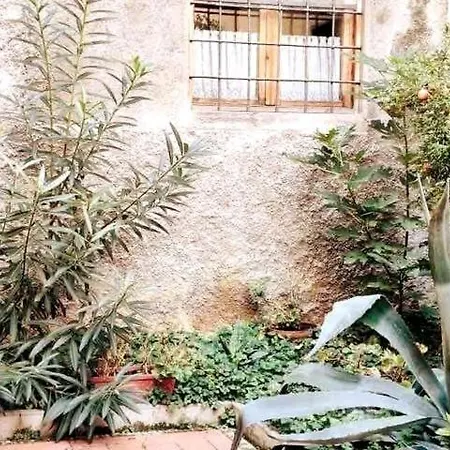 Maila's Garden, 25 Min From Florence Apartamento *